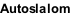 Autoslalom
